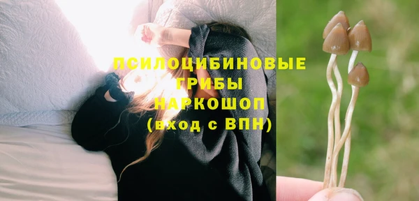 героин Белокуриха