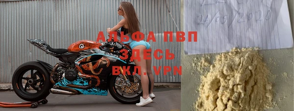 индика Белоозёрский