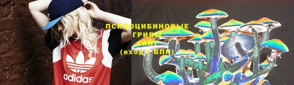 индика Белоозёрский