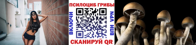 Псилоцибиновые грибы Cubensis  МЕГА tor  Верхоянск 